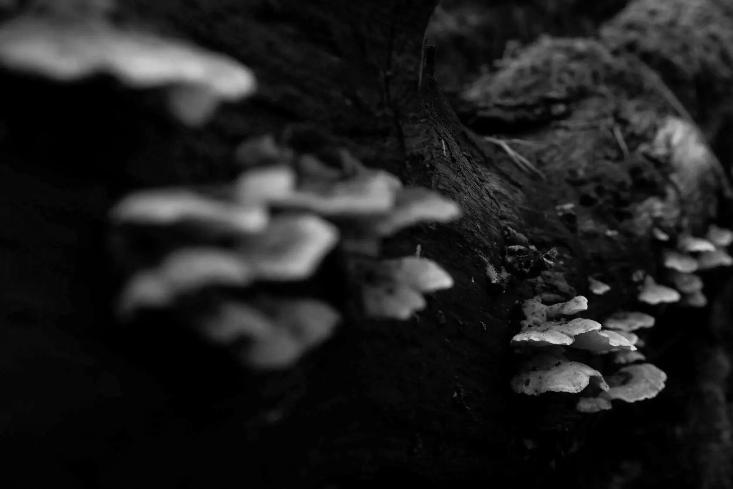 my+photo+4.jpg