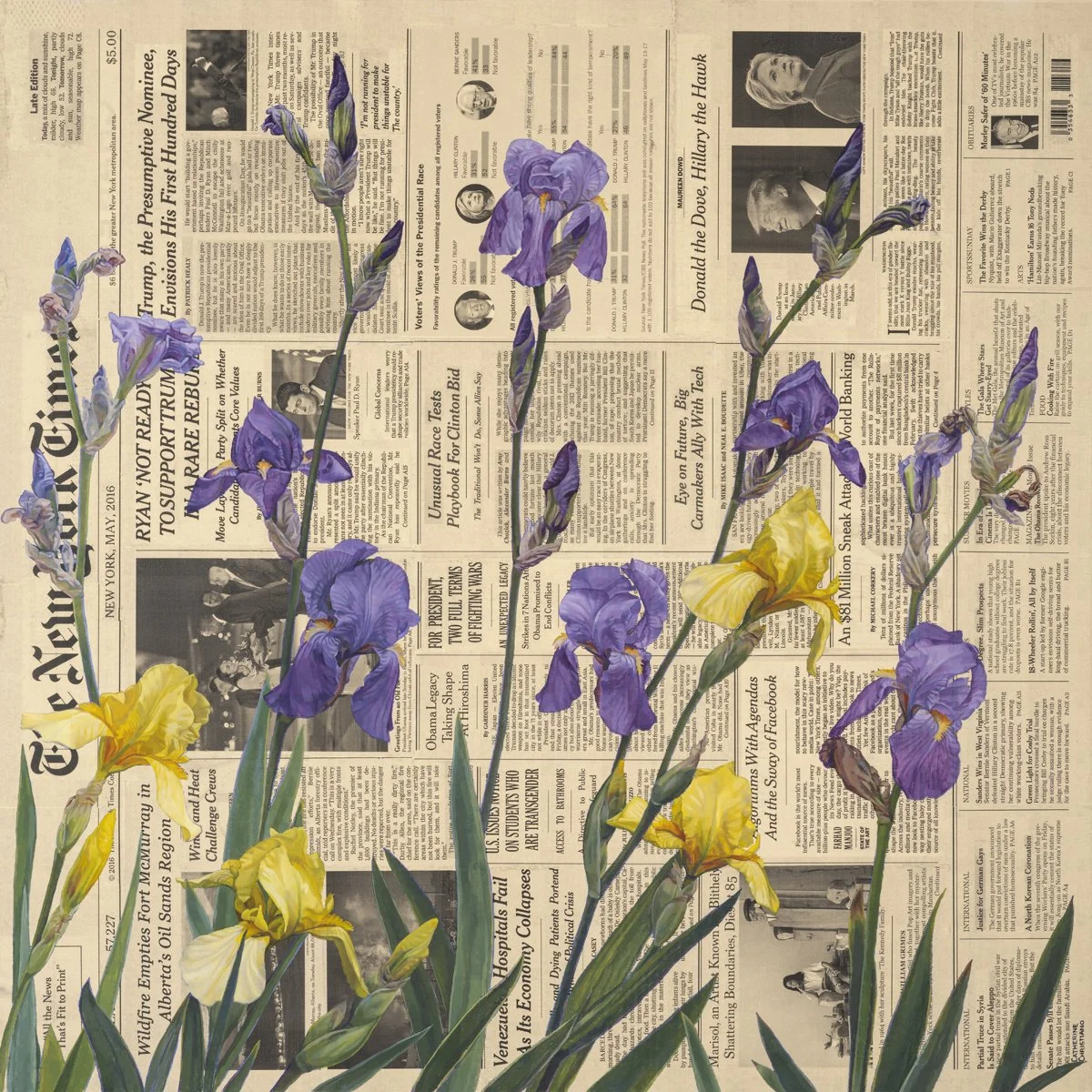 Irises | May 2016; oil, acrylic, and transfer prints on panel; 36 x 36 inches.