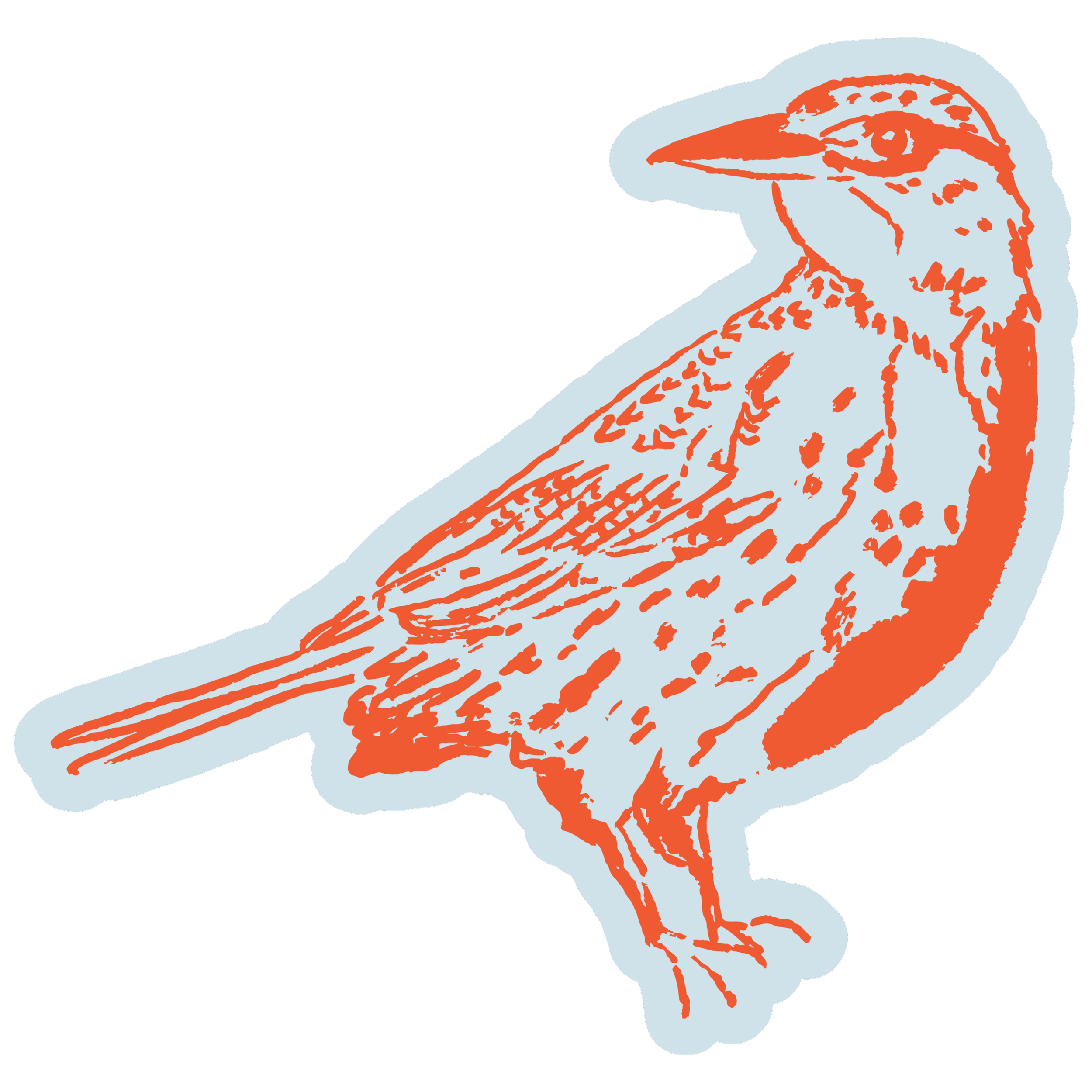 Bird Sticker