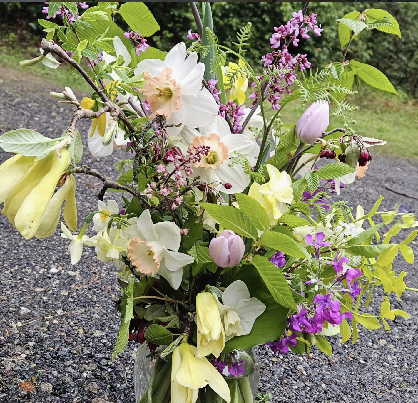 branch-daffodil-arrangement_cleaned.png