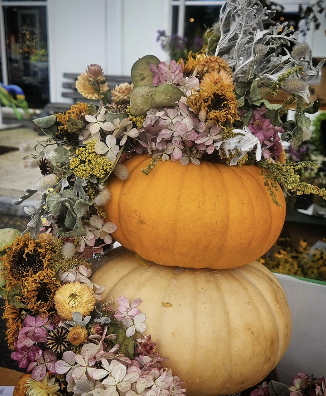 pumpkin-stack_cleaned.png