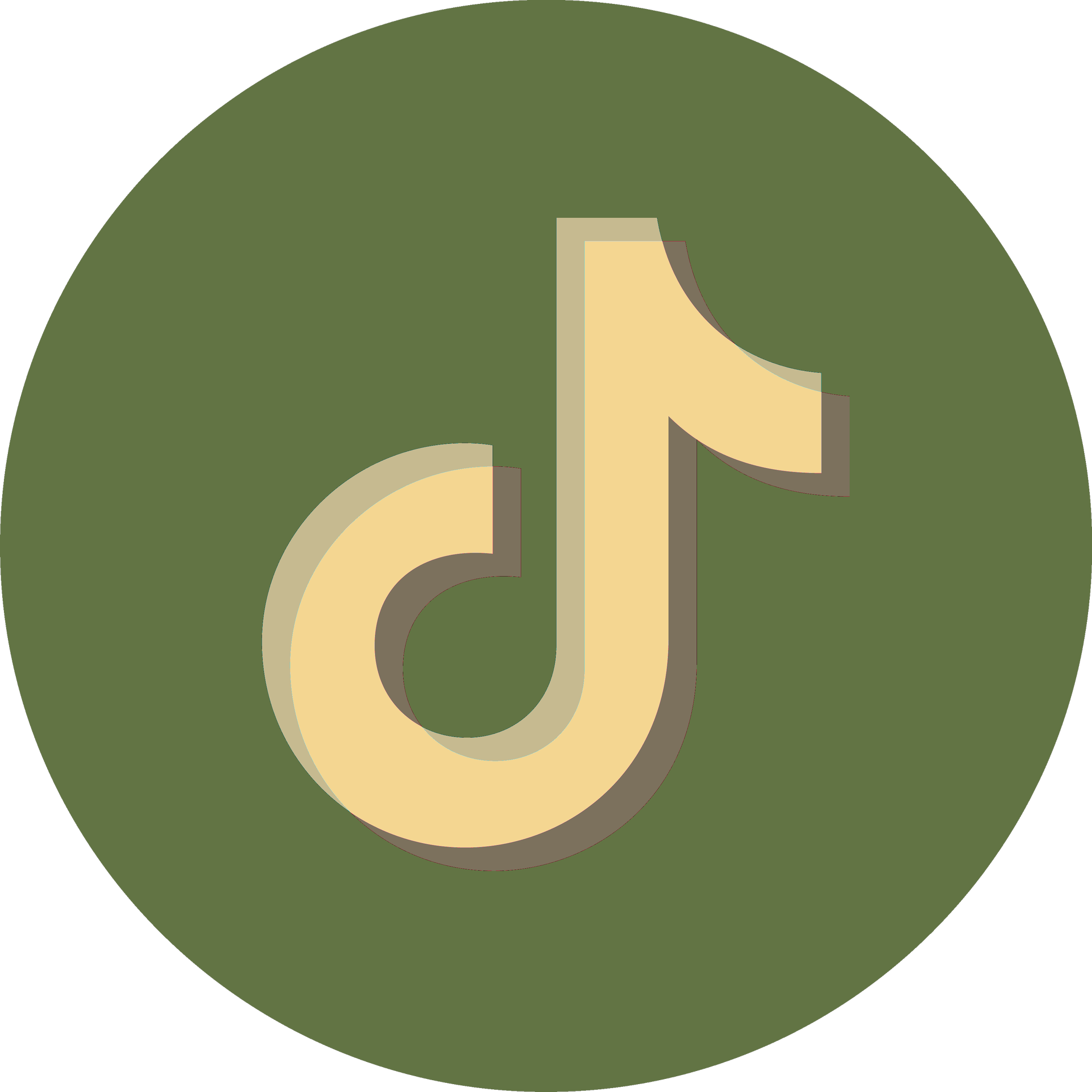 Follow Earth Life Therapy on TikTok.