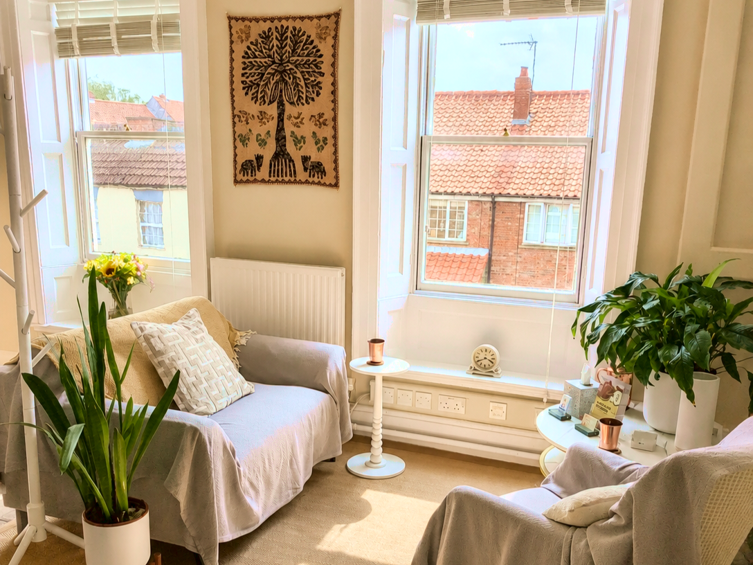 Bright seating area in the Earth Life Therapy room in Beverley, with two chairs, plants and large windows.