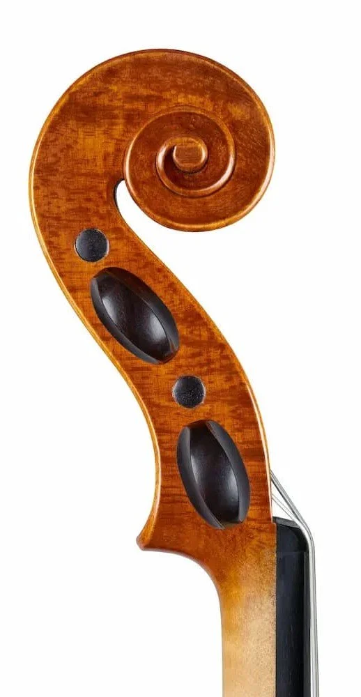 riccio florida st.jpg