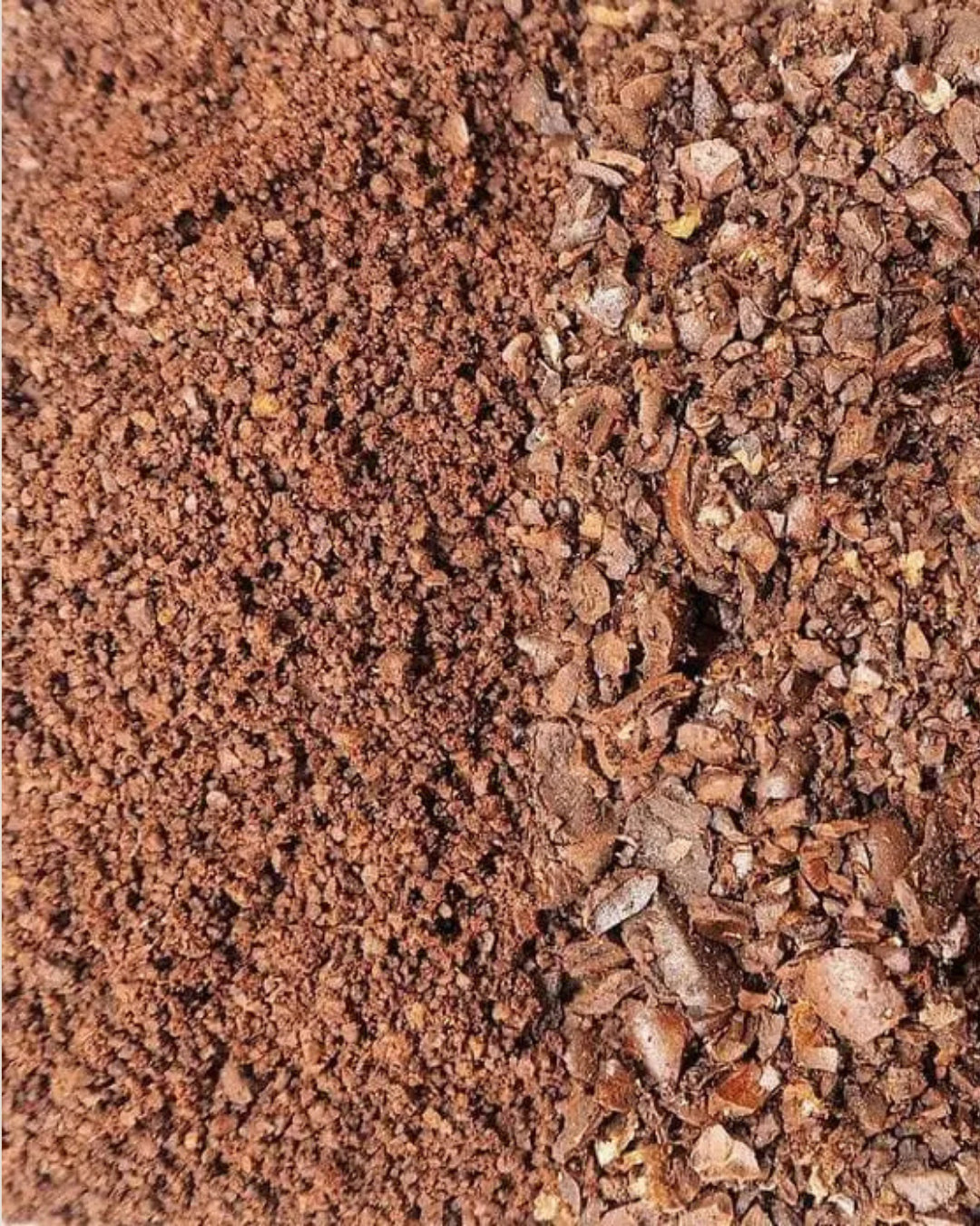 Coffee Grind Guide: Which Grind Should You Choose?