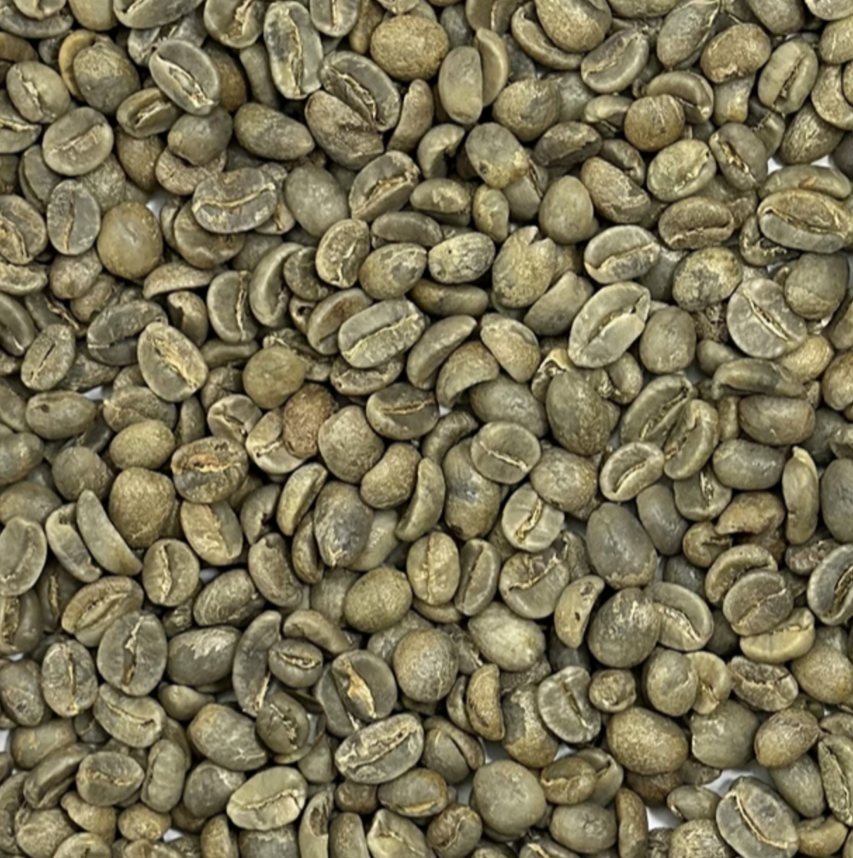 Mexico 12 oz Small Batch Roast