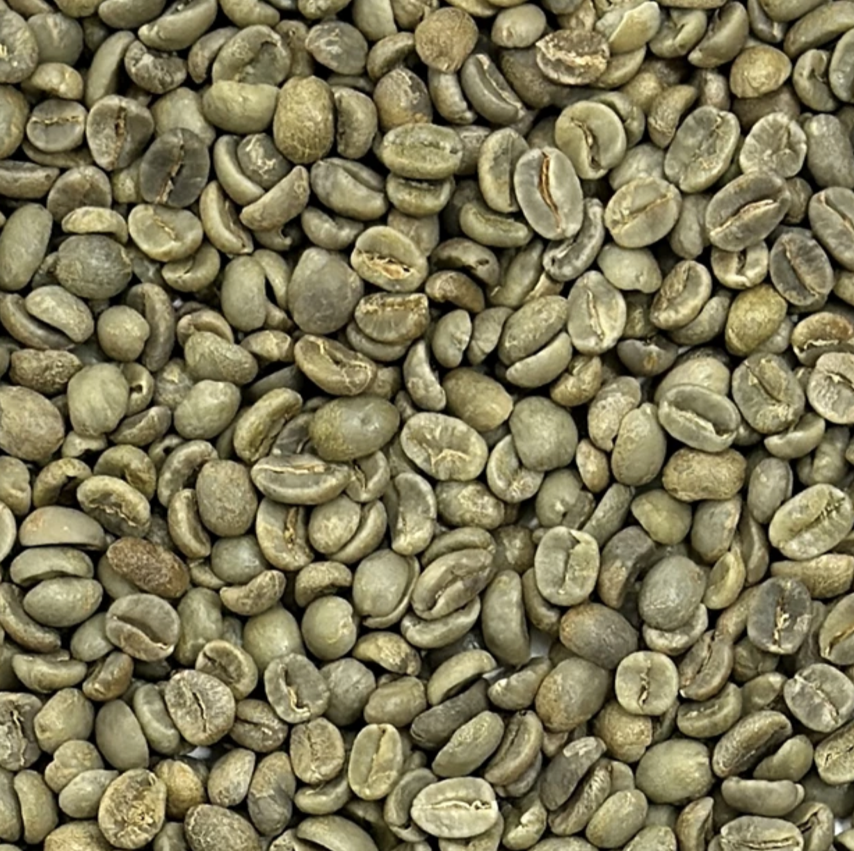 Screenshot 2026-01-26 at 11.48.29 AM.png