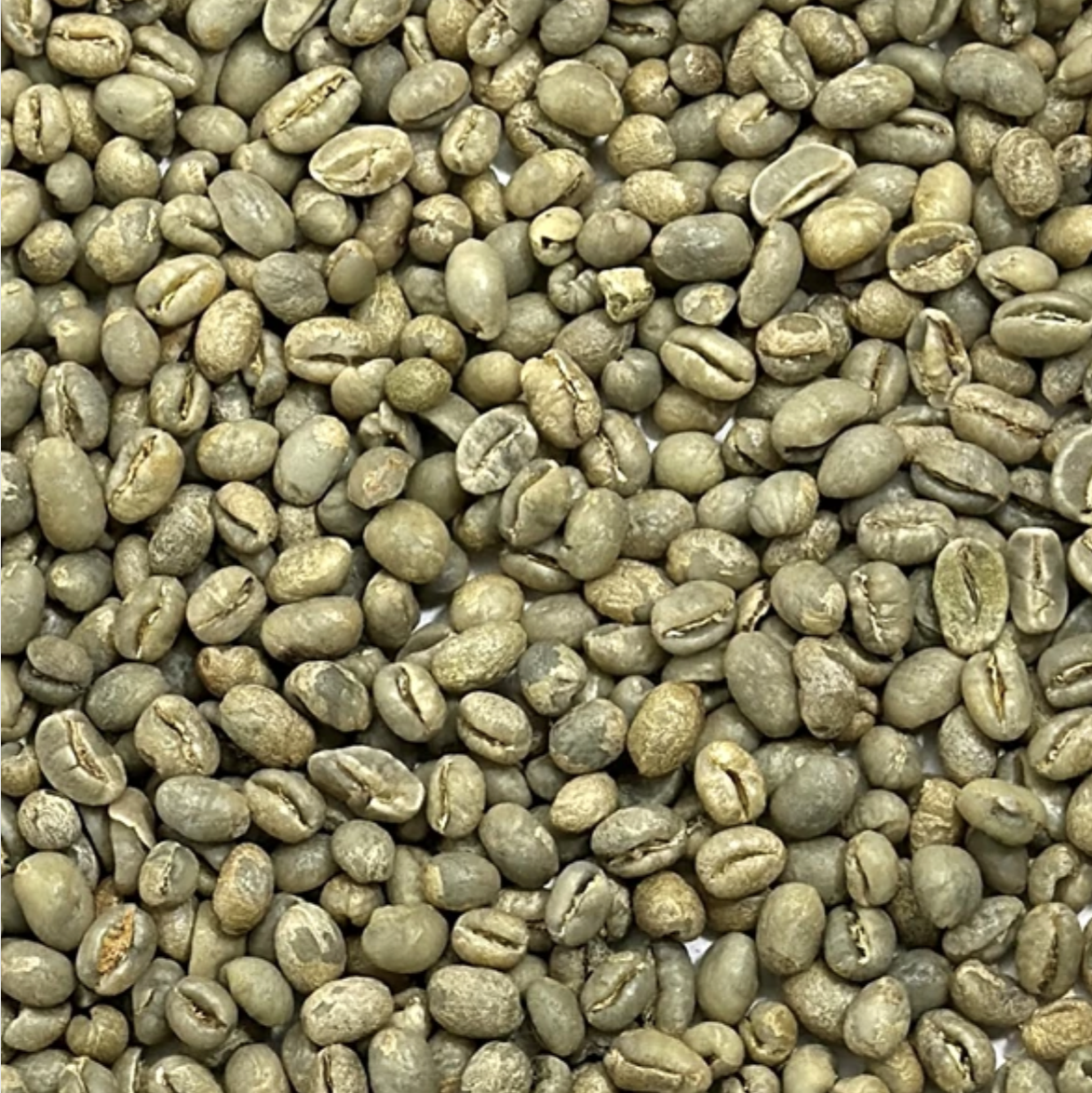 Screenshot 2026-02-02 at 3.33.32 PM.png