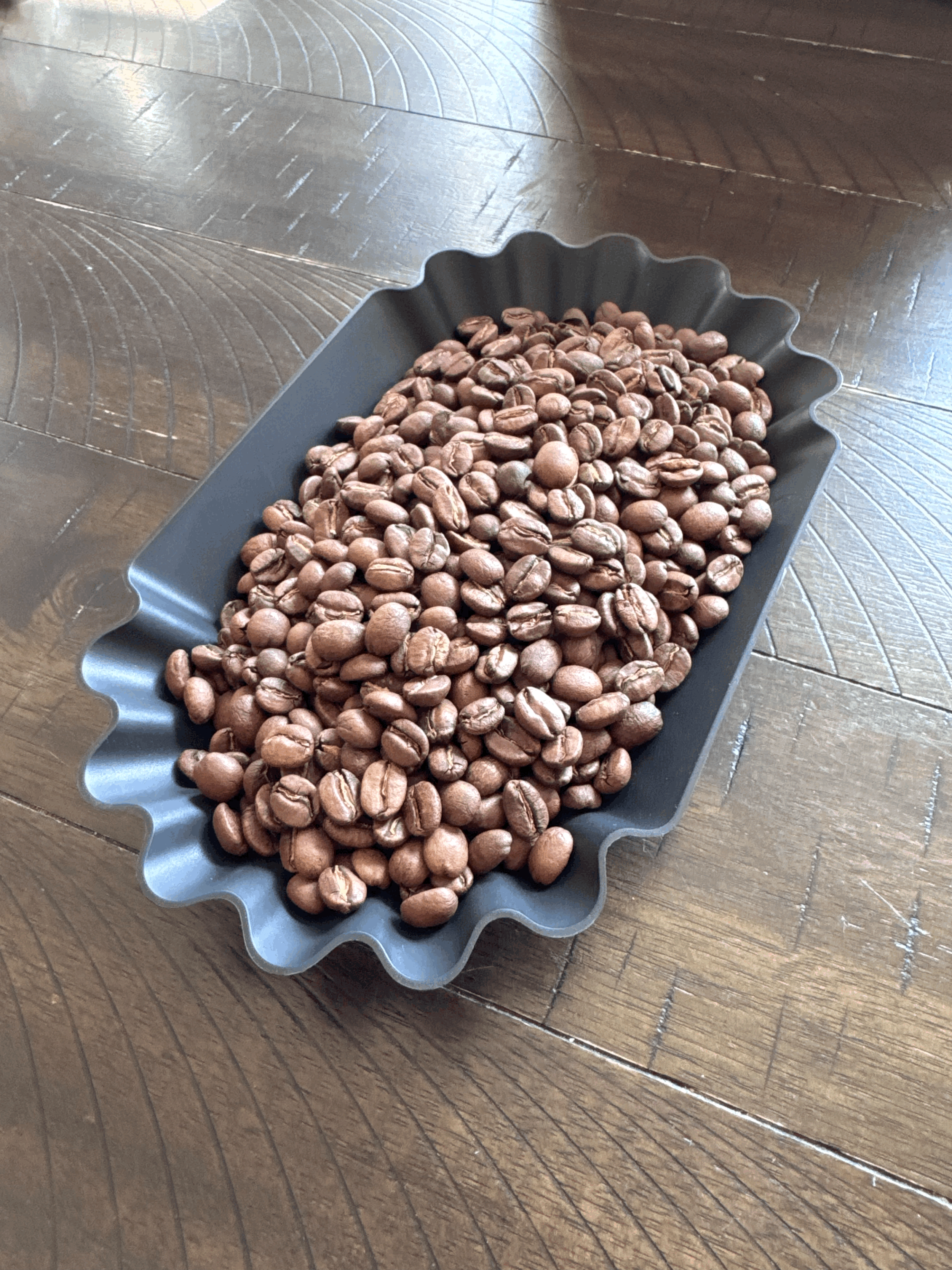 Prairie Falcon House Blend 12 oz Small Batch Roast