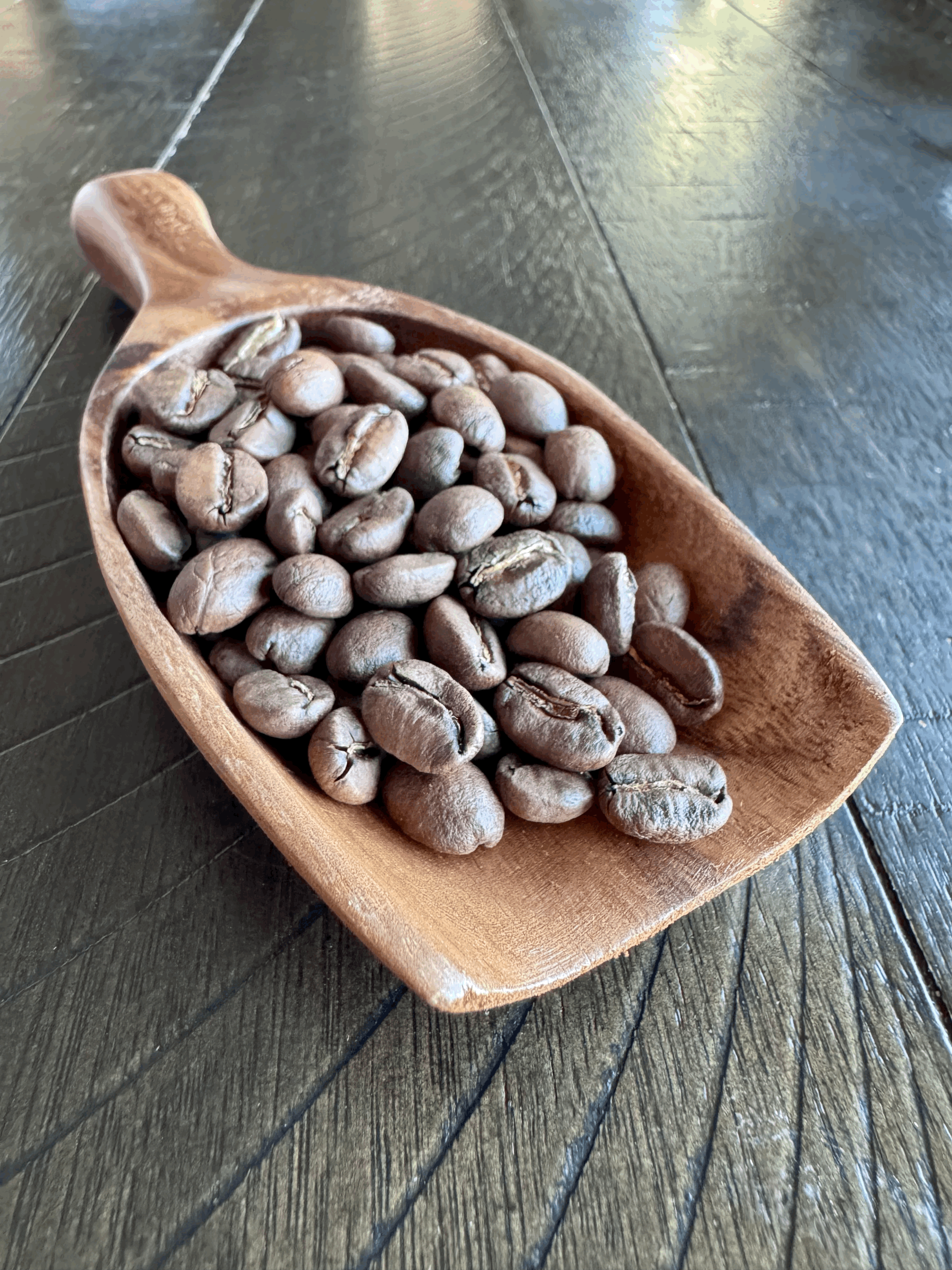 Prairie Falcon House Blend 12 oz Small Batch Roast