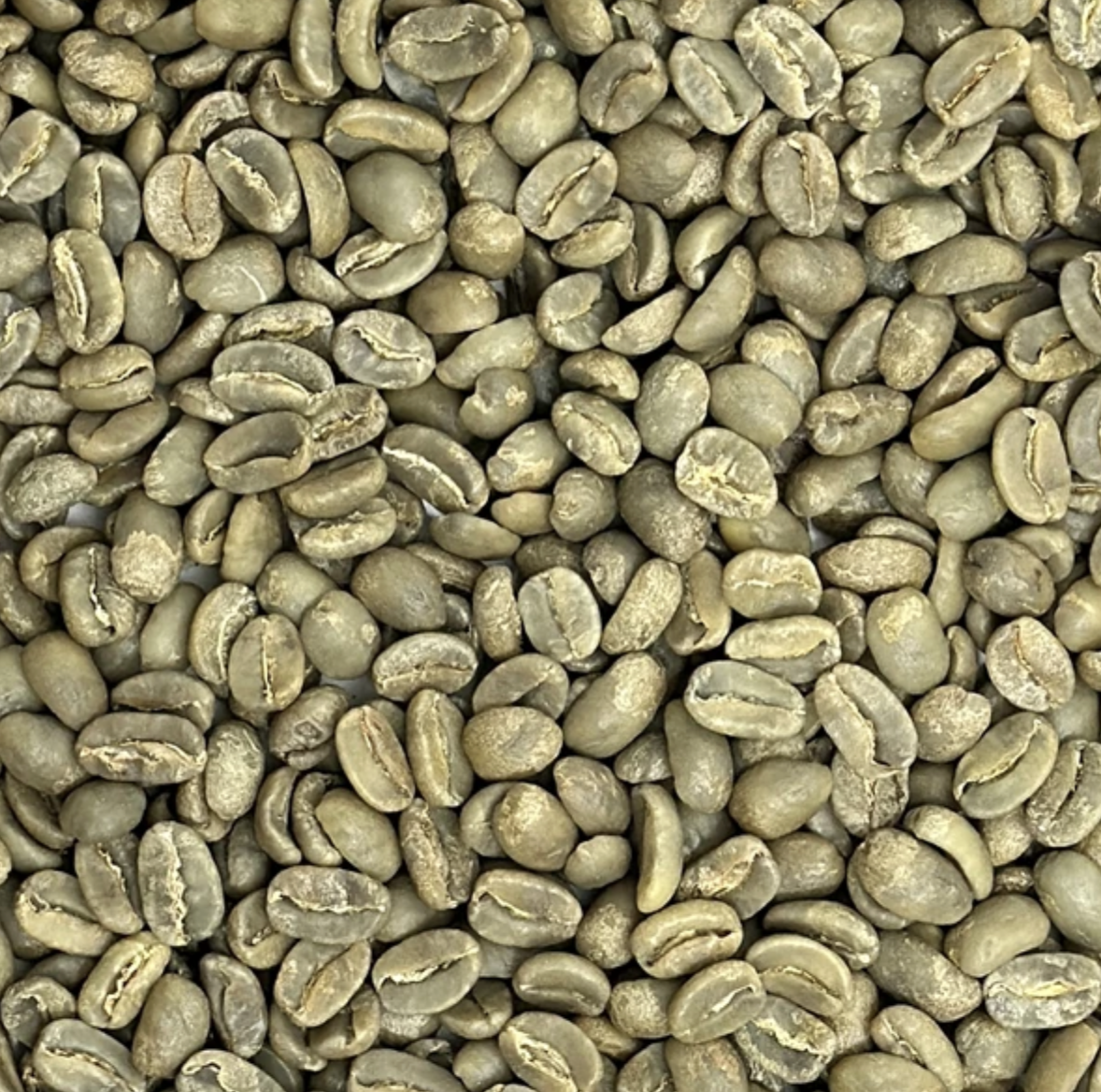 Screenshot 2026-02-02 at 3.42.57 PM.png