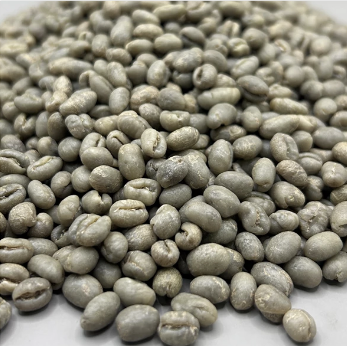 Screenshot 2026-02-02 at 3.45.58 PM.png