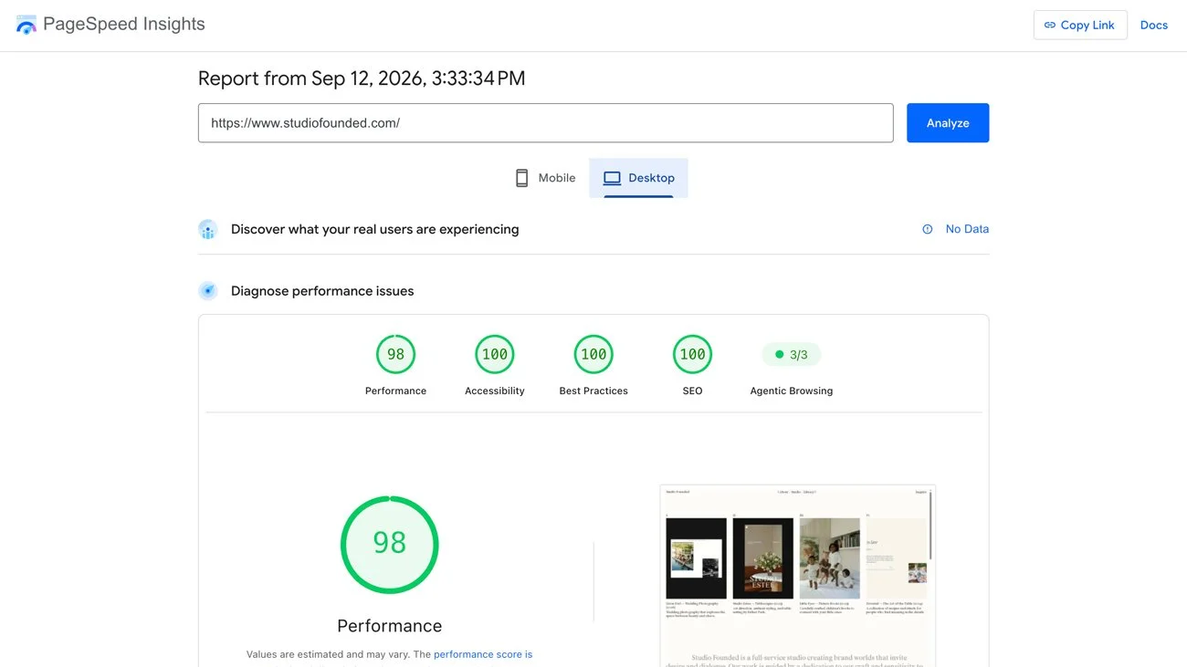 Google Lighthouse PageSpeed Insights results.