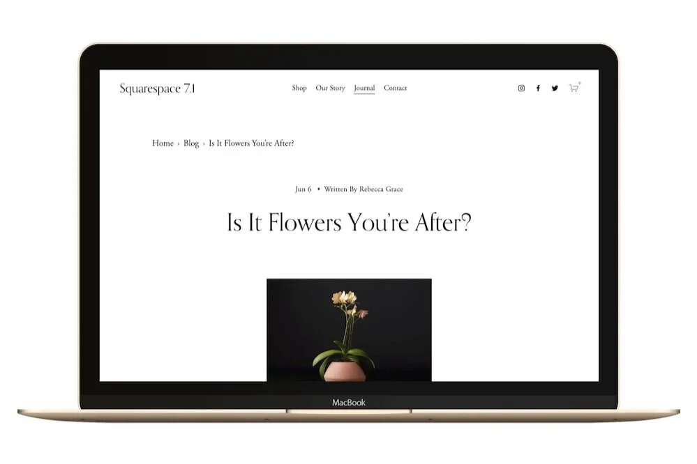The Breadcrumb Blog Navigation plugin.