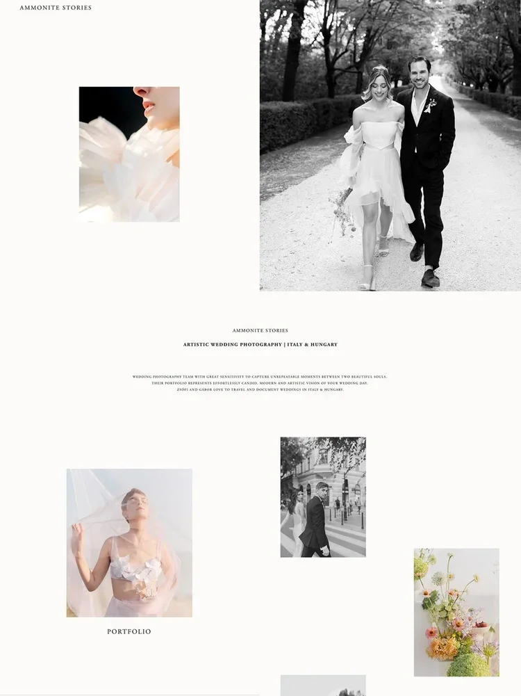 The Ammonite Stories Squarespace website home page.