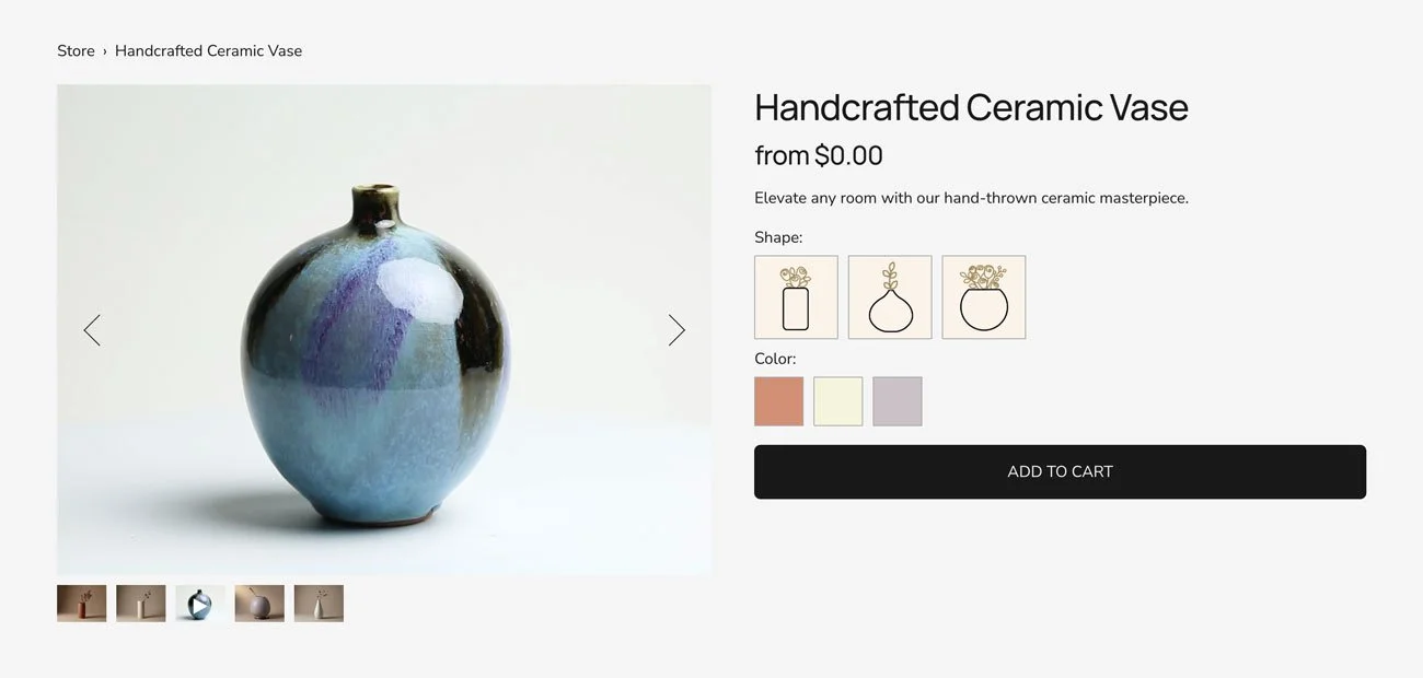 Squarespace Product Gallery Video Plugin
