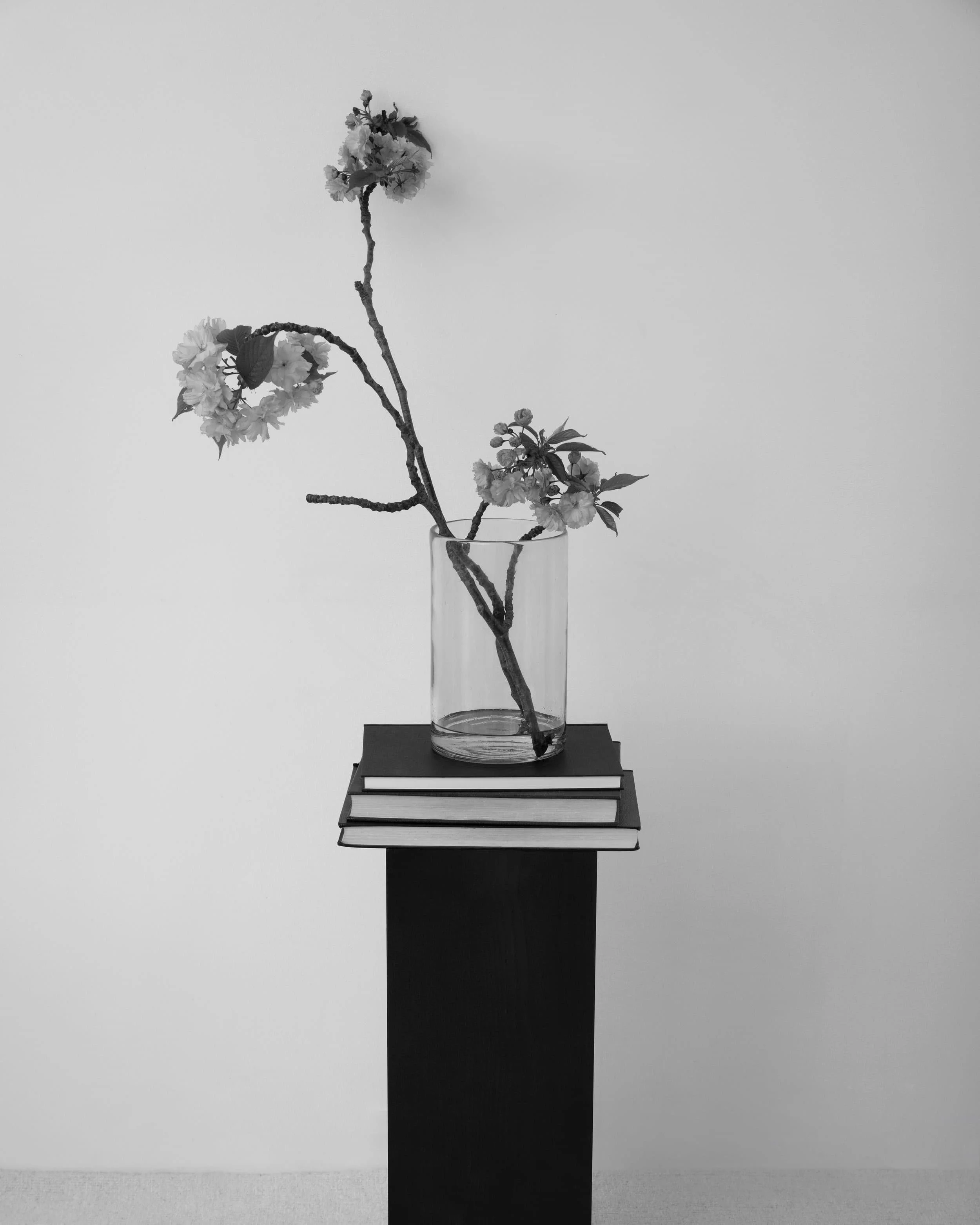 Black and white photo of a glass vase with a branch of flowers, placed on a stack of three closed books on a pedestal against a plain wall.