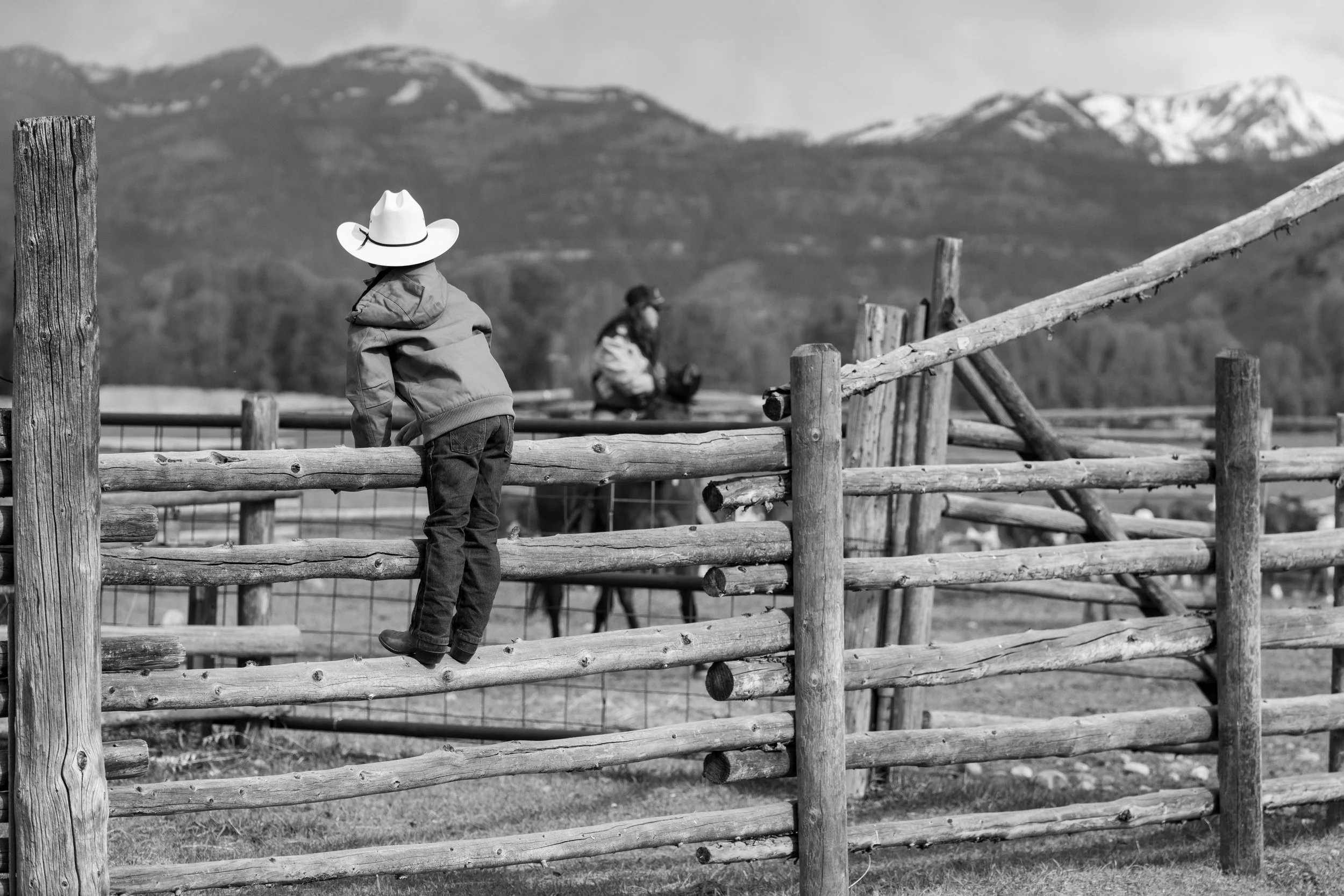 MRIEGEL_Hereford_Website-8.jpg