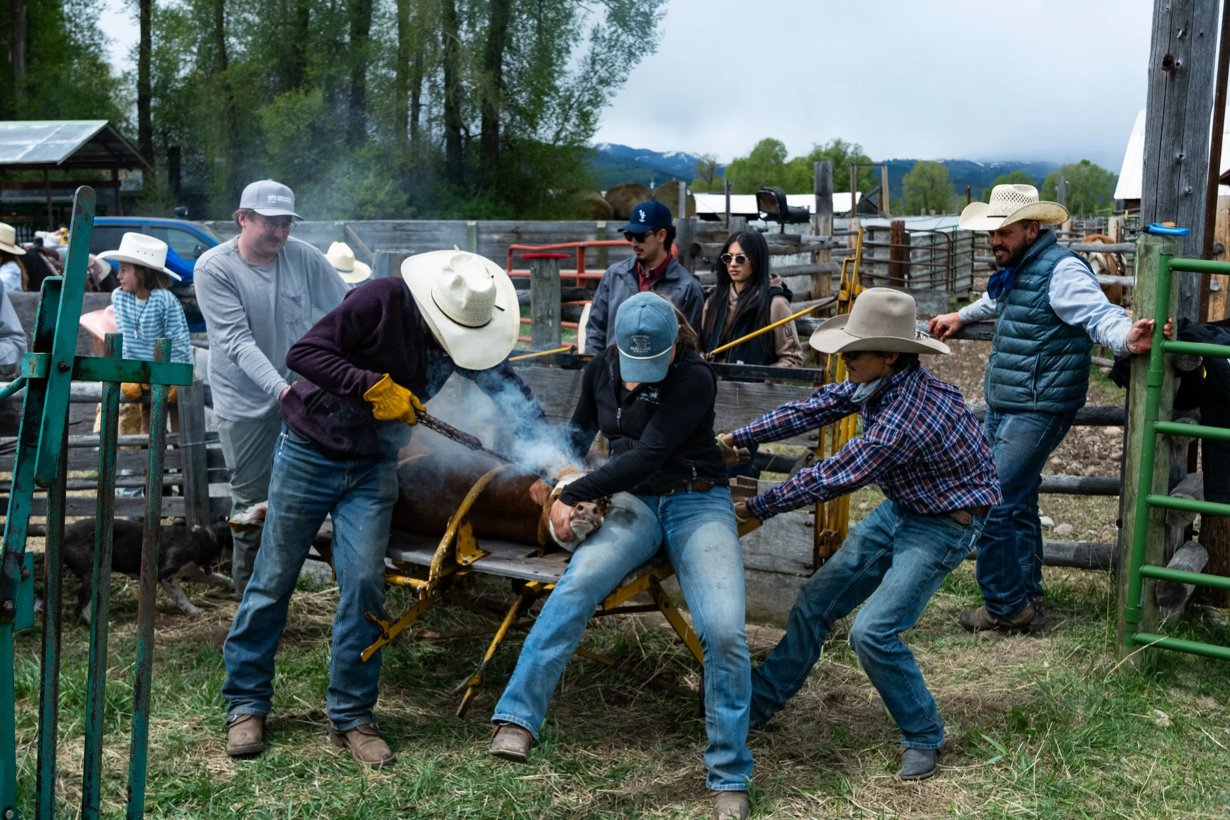 MRIEGEL_20260520_HerefordRanch-57.jpg