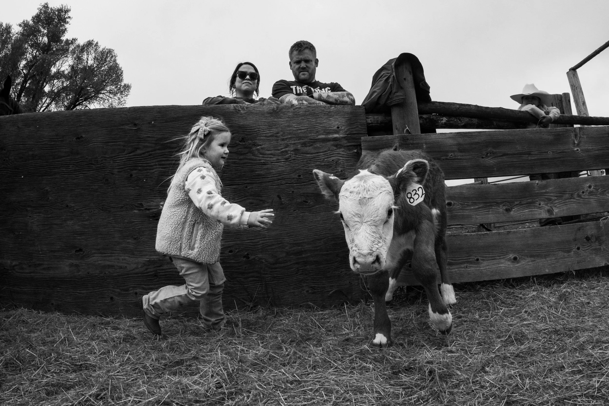 MRIEGEL_Hereford_Website-36.jpg