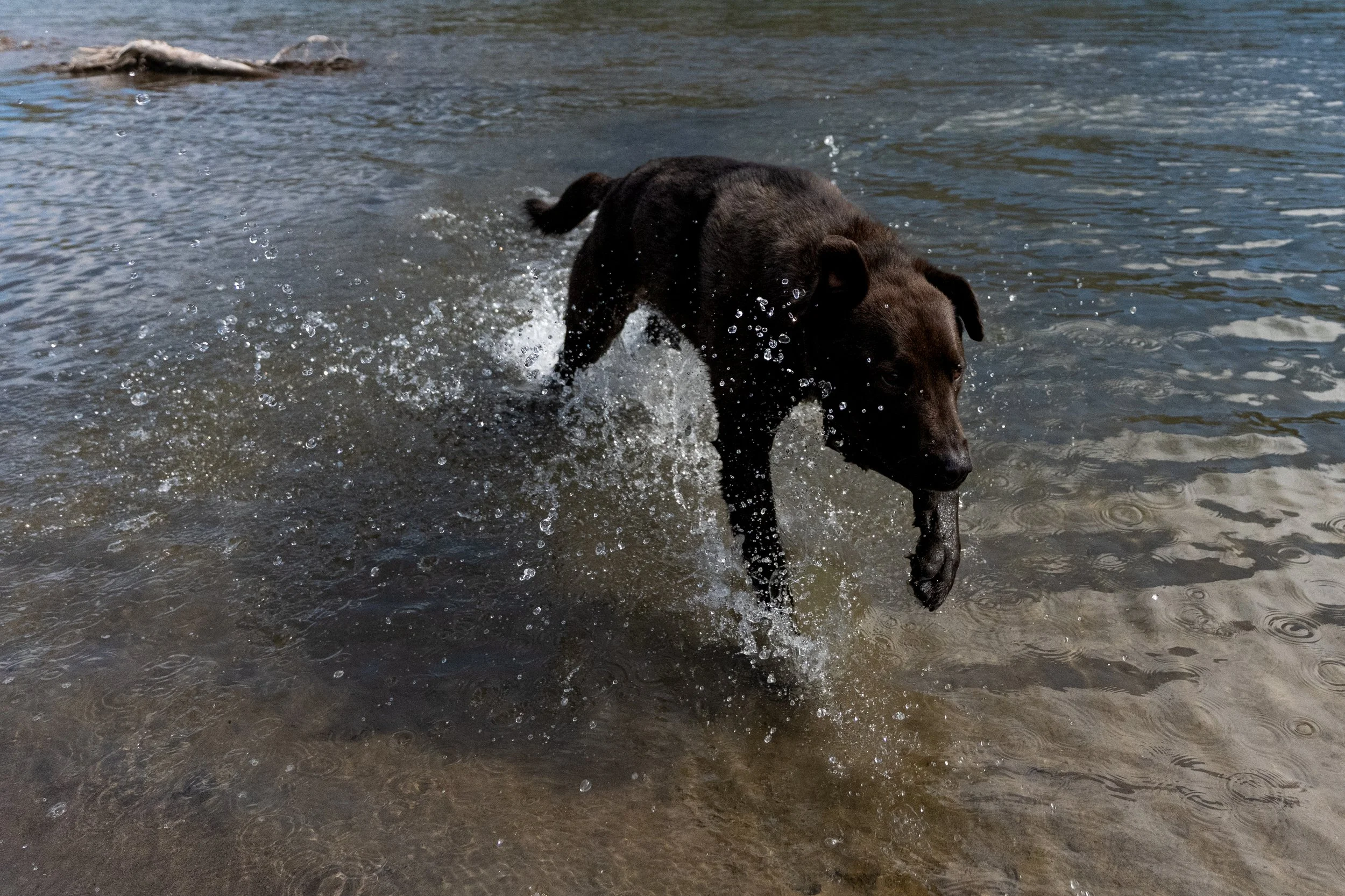 MR_06647.jpg