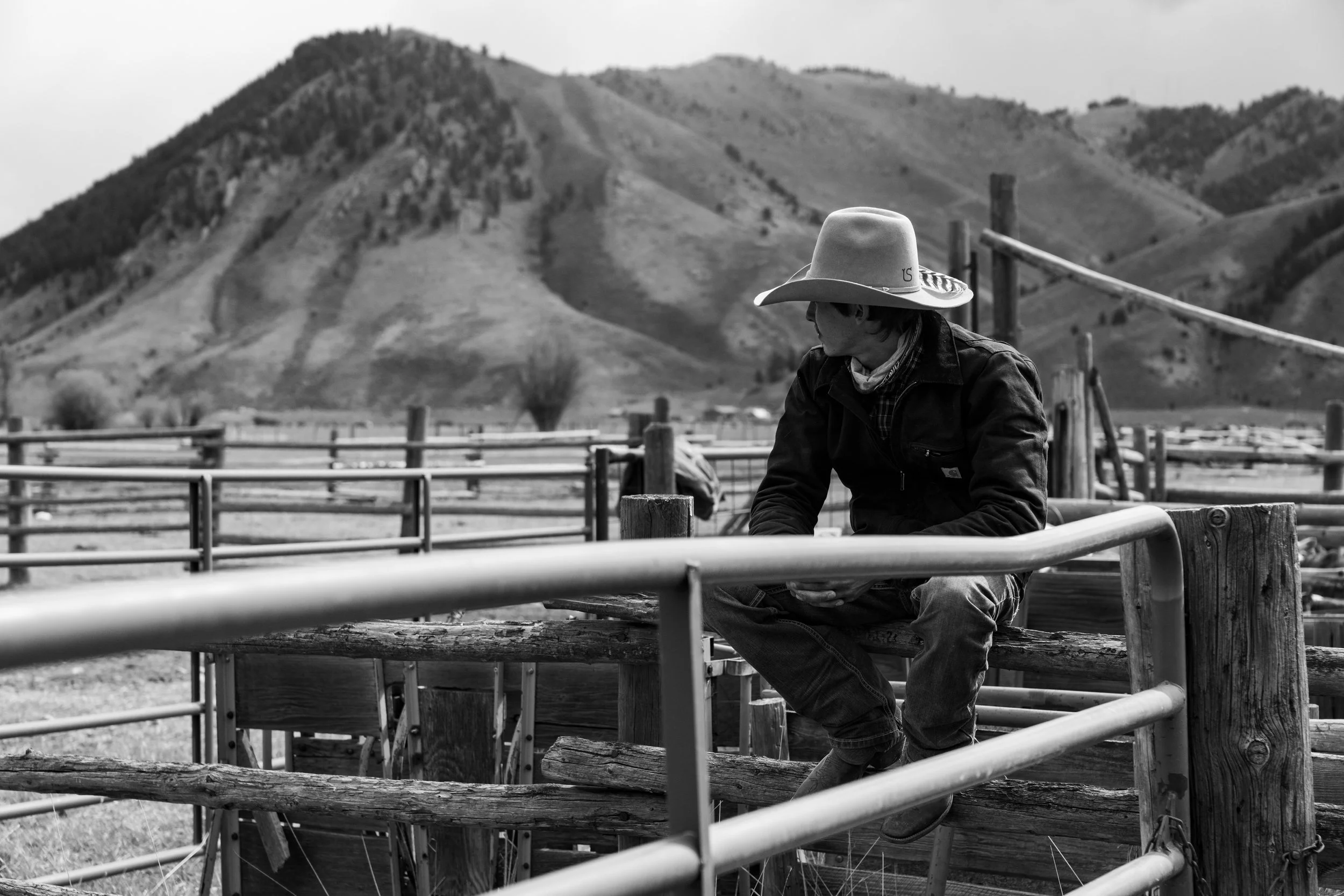 MRIEGEL_Hereford_Website-18.jpg