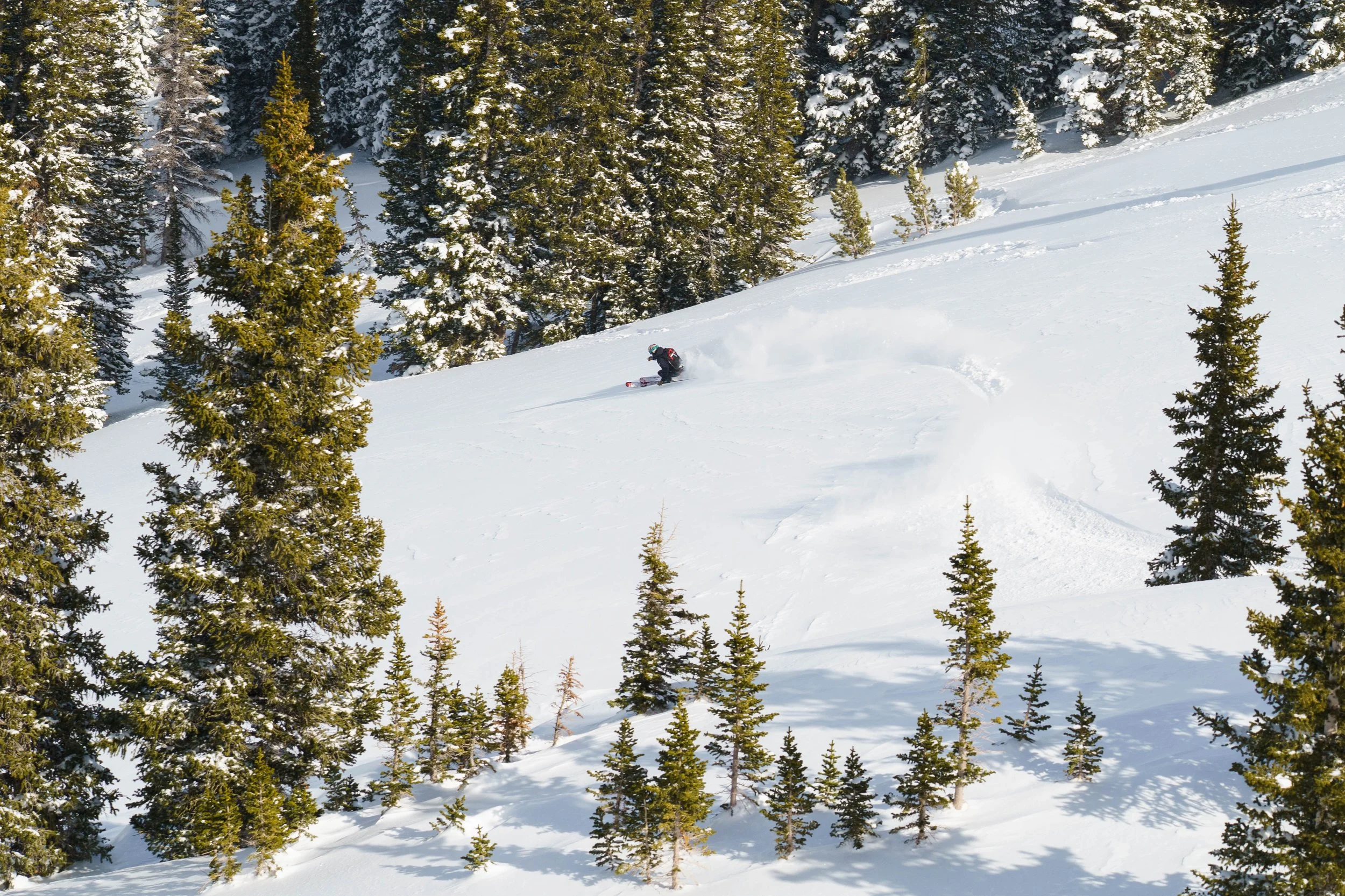 25_03_19_BOBBY_CASPER_MARK_FOURPINES_1558.jpg