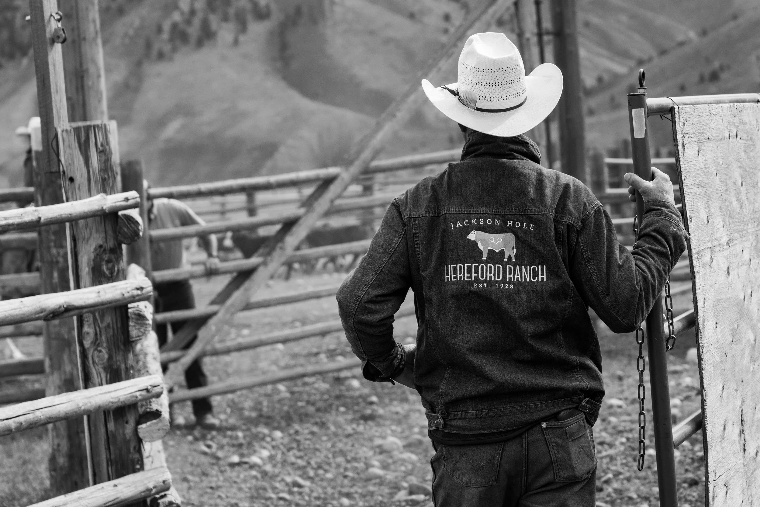 MRIEGEL_Hereford_Website-16.jpg