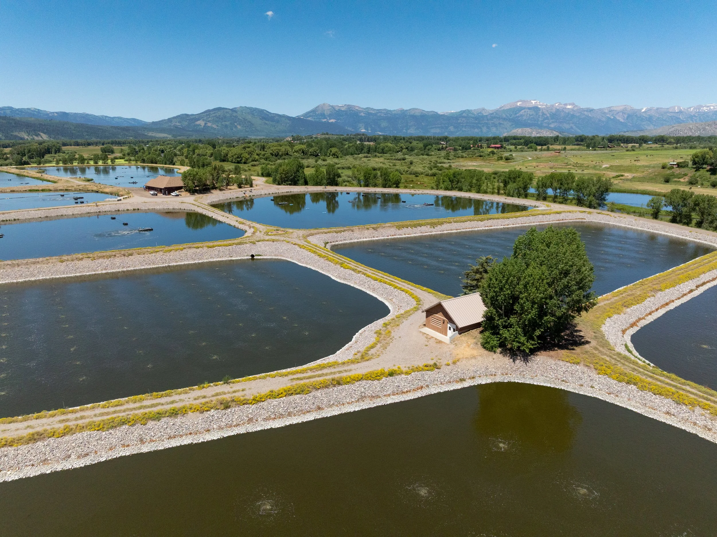 DJI_0444.jpg
