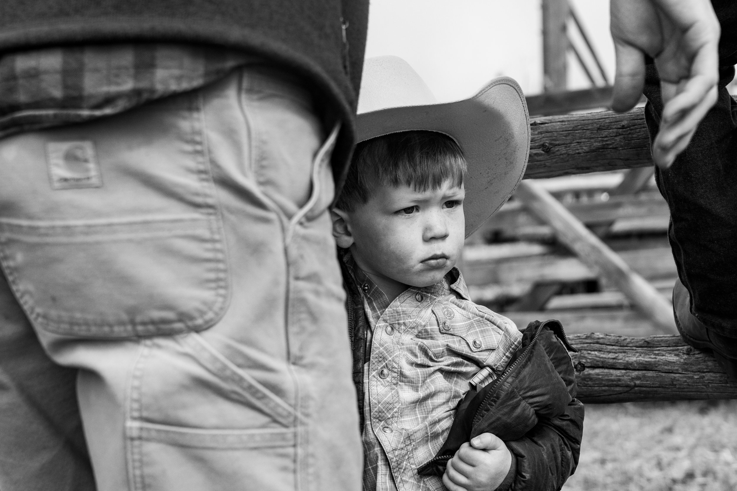 MRIEGEL_Hereford_Website-19.jpg