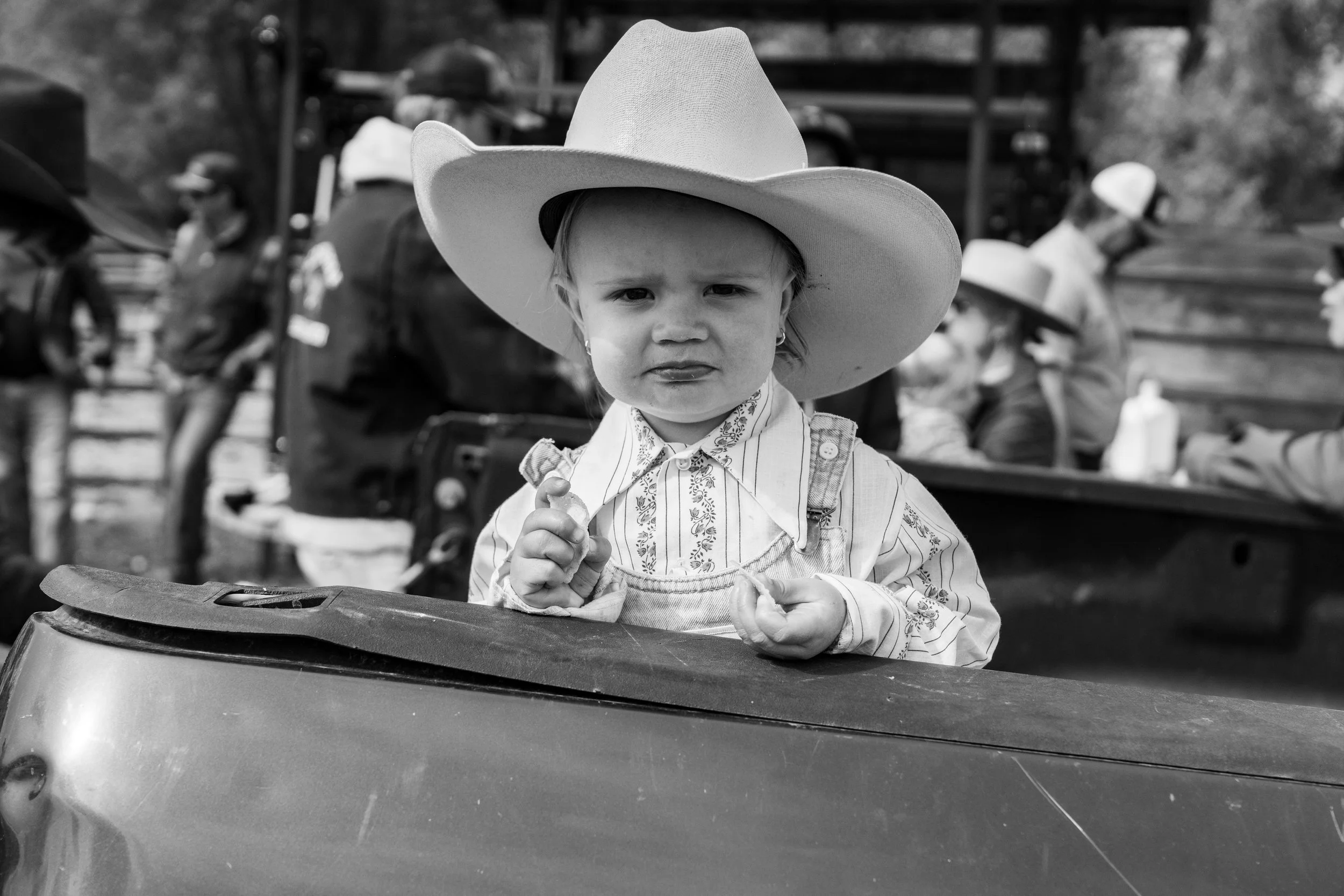 MRIEGEL_Hereford_Website-17.jpg