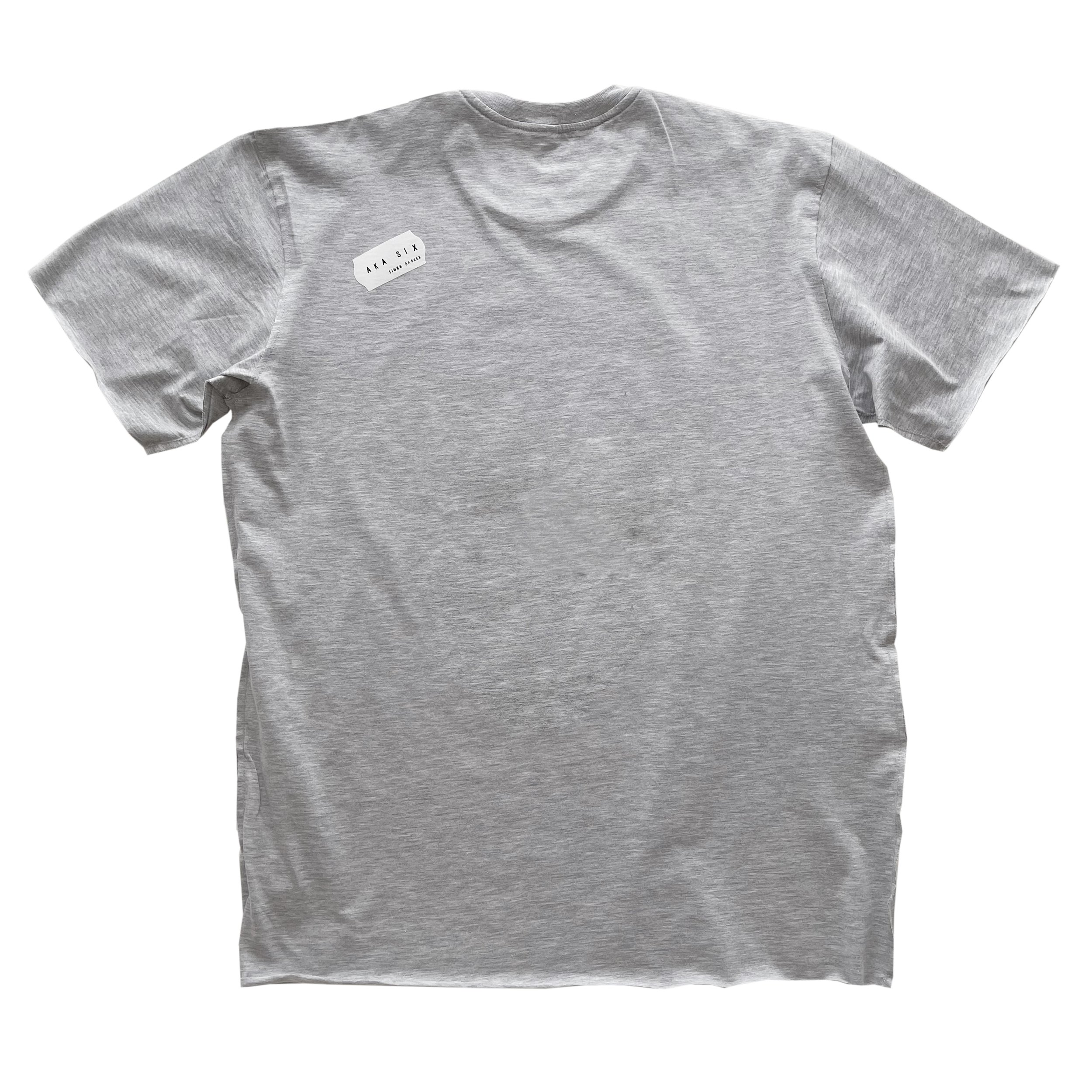 t-shirt_perfect_grey_back copy.jpg