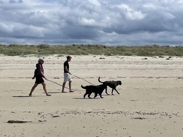Der Hund darf mit in die Ferien 🐩🚗: Die Packliste