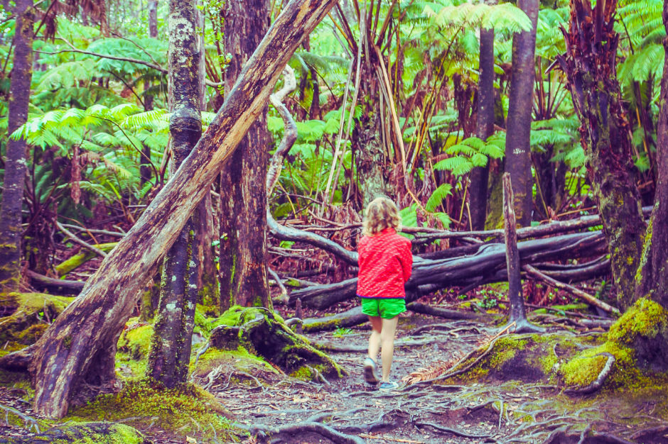 The Jungle Was My First Classroom