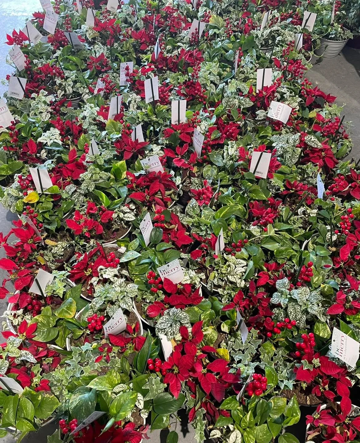 If you need last minute flowers we have a bunch.