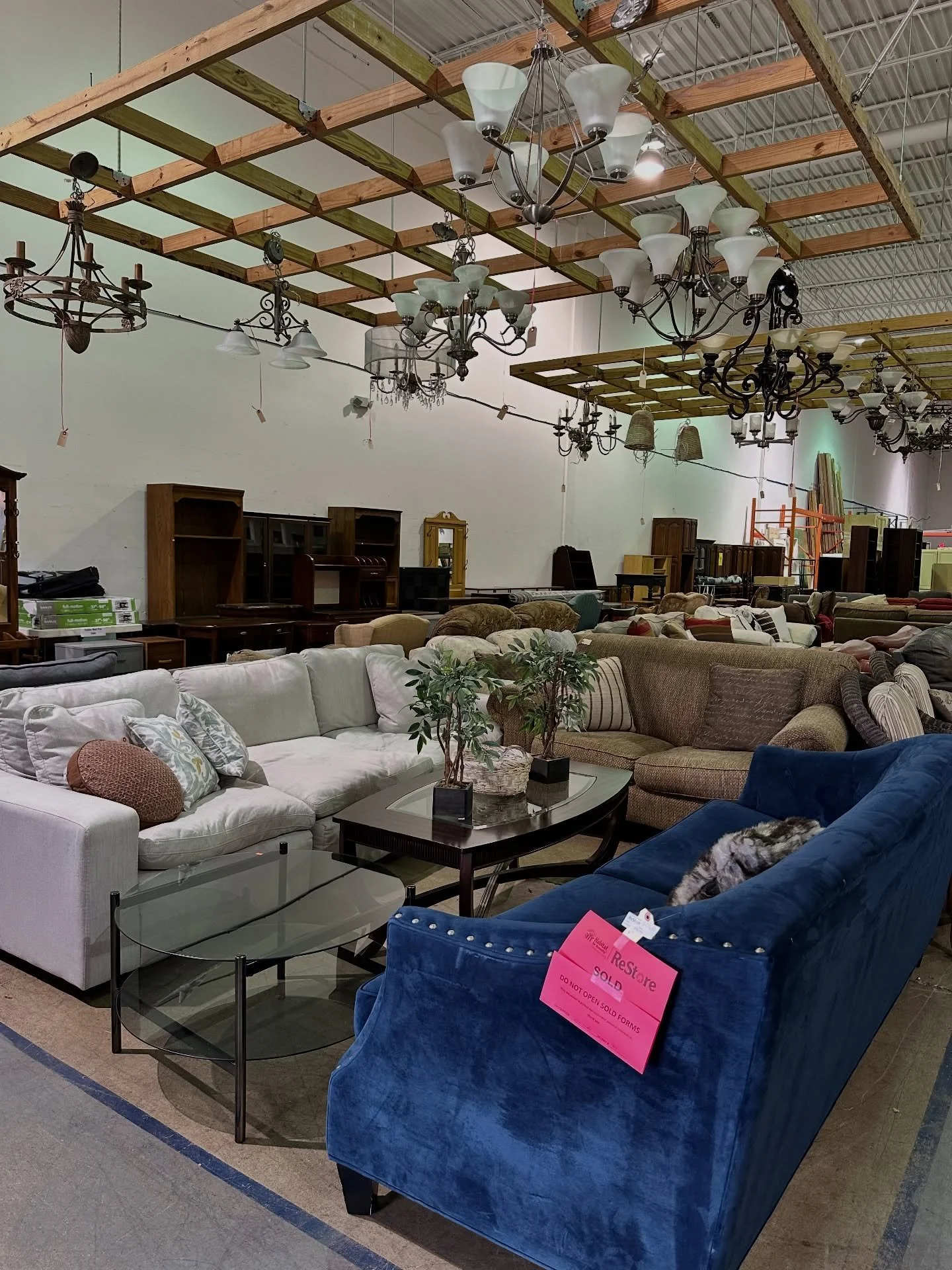 Our favorite items from the last week. 😍 

Find vintage touches, elevated thrifts, and that final piece to tie together your whole space. 

Our inventory changes daily- please call for pricing and availability of these items!