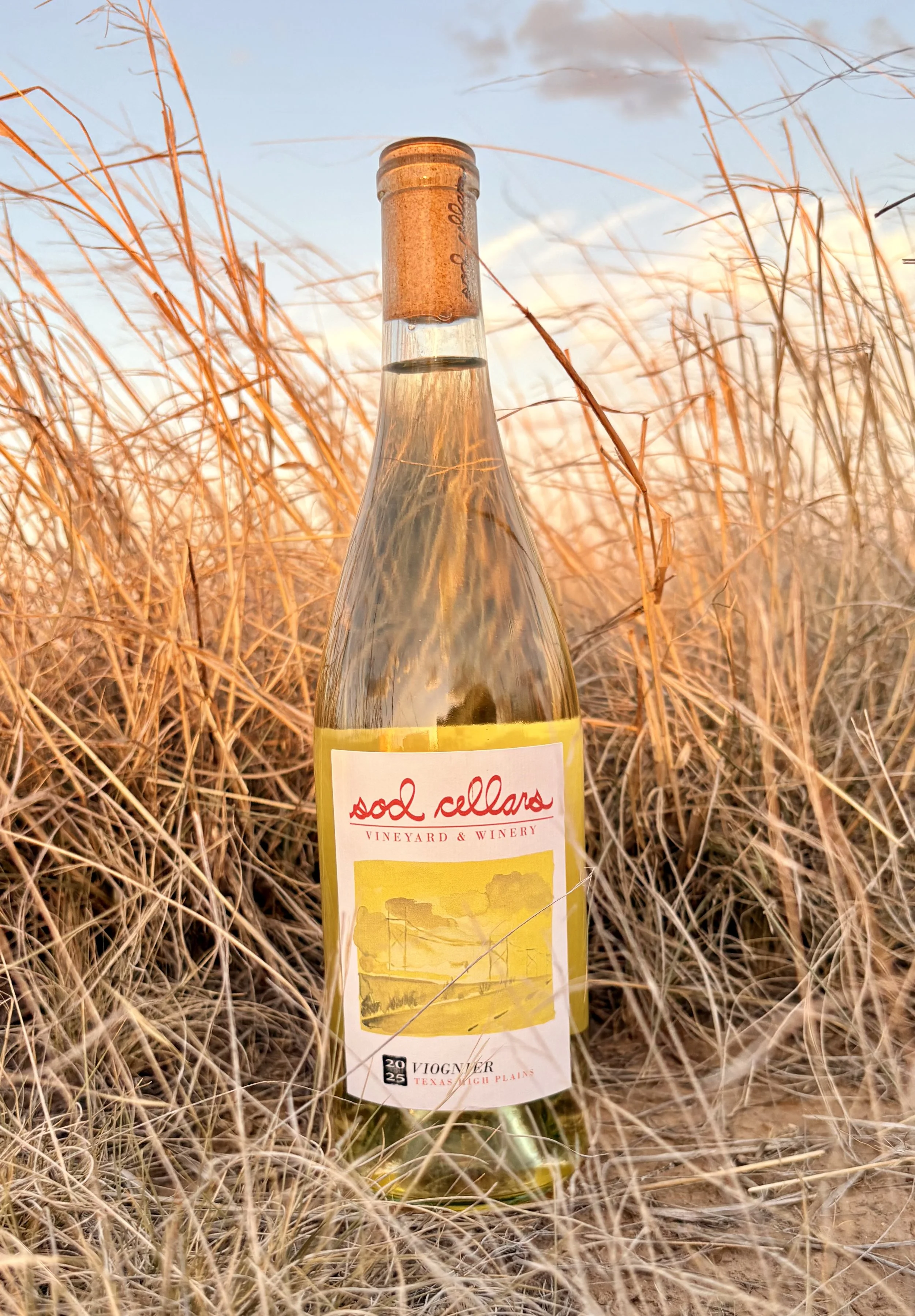 A Sod Cellars wine bottle in a field of dry grass, with a cloudy sky.