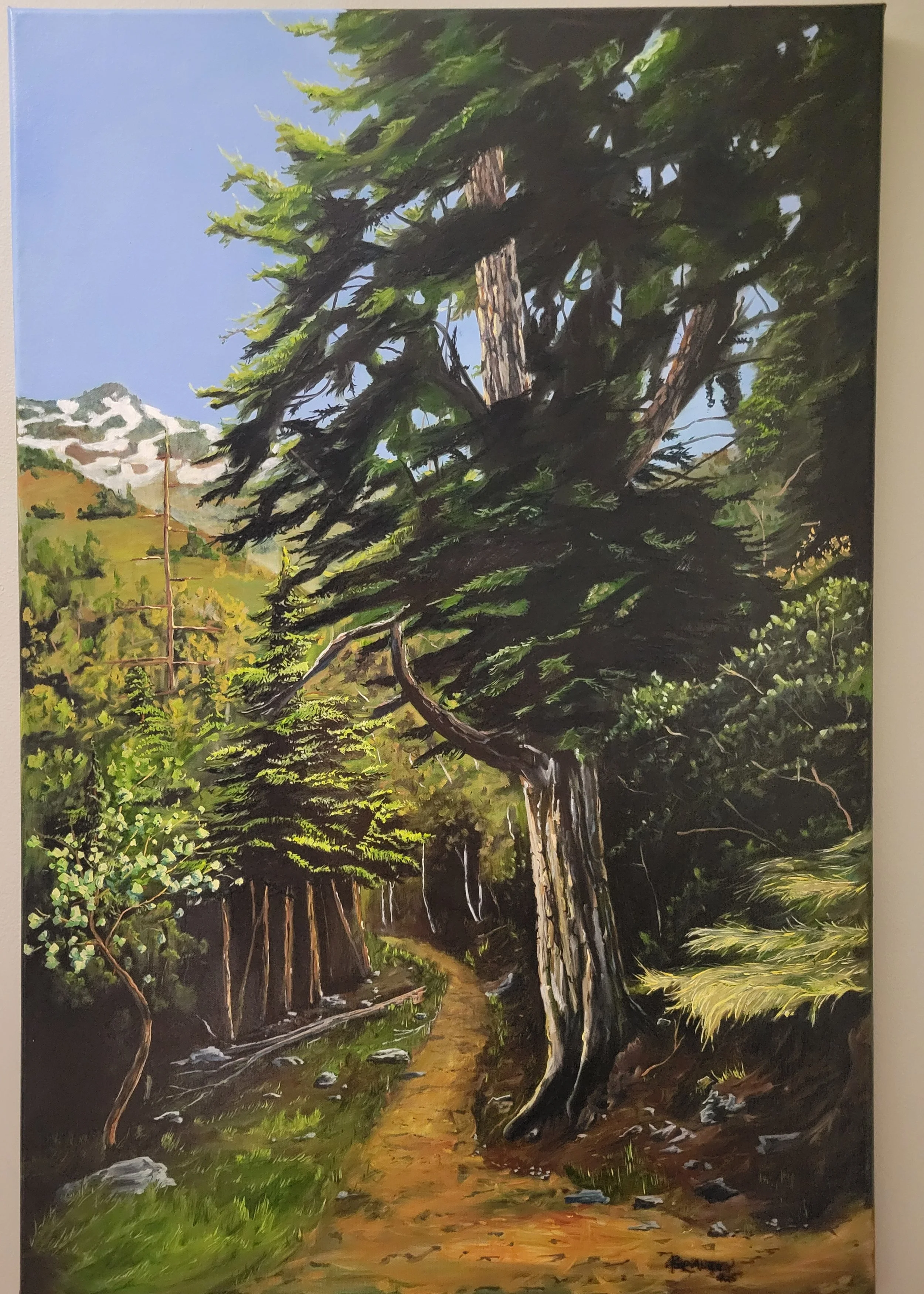 Mueller Park.jpg