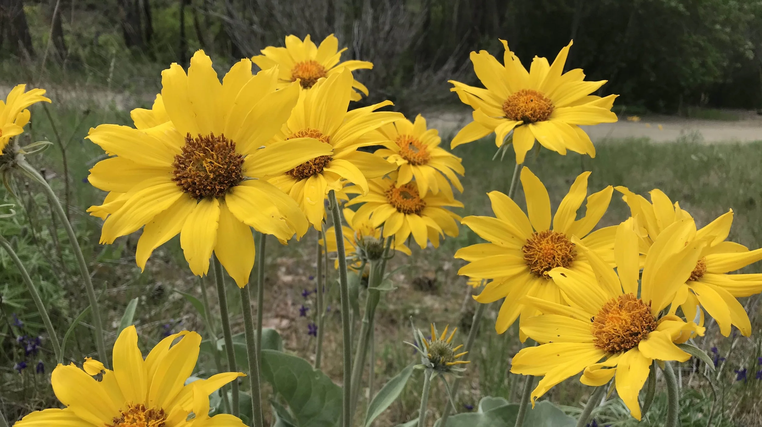 How to Plan Your Busy Season Content During Your Slow Season