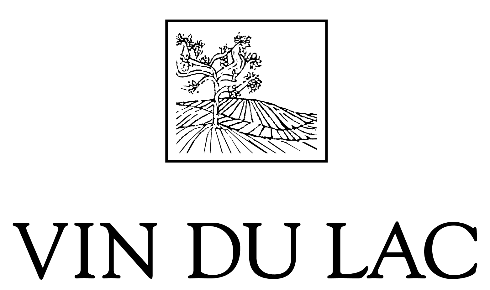 VDL_logo_square_black-02.png