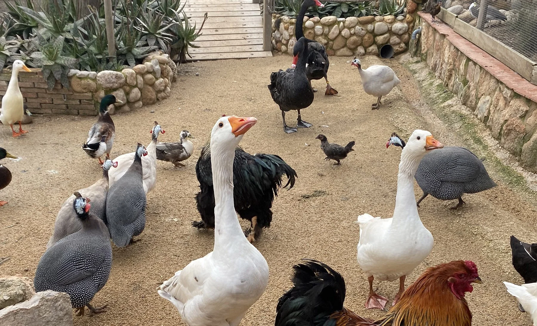 A Snow White Moment in Spain (and why I almost missed it)