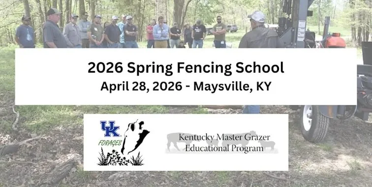 Spring Fencing School