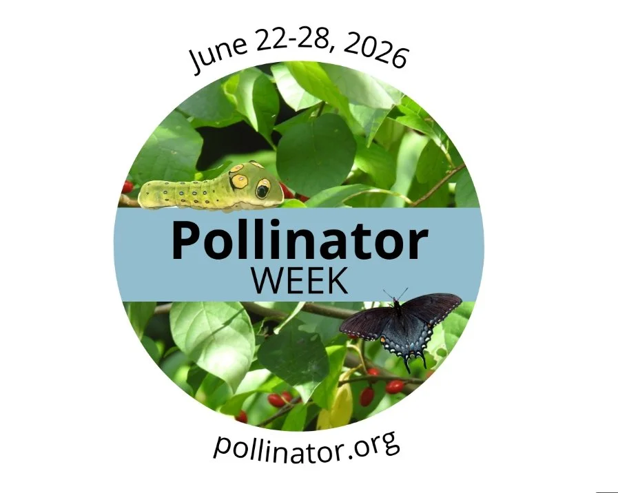 Pollinator Week