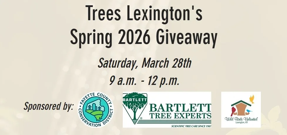 Trees Lexington’s Spring Tree Giveaway