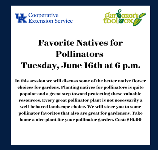 Favorite Natives for Pollinators