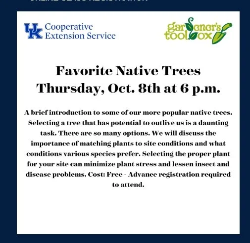 Favorite Native Trees
