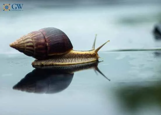 Held-Away, Held-Back: Why Your Investment Setup Might Be Slowing Progress