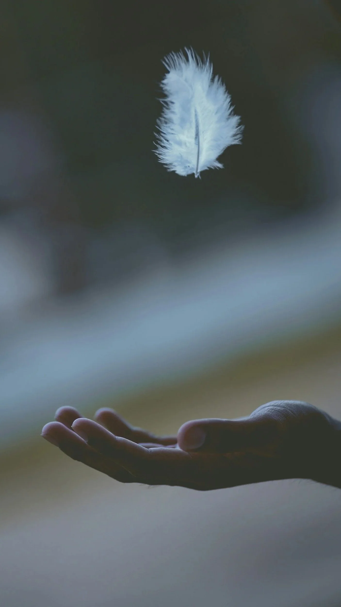 Winged Harmonies a Sound Bath Cermony