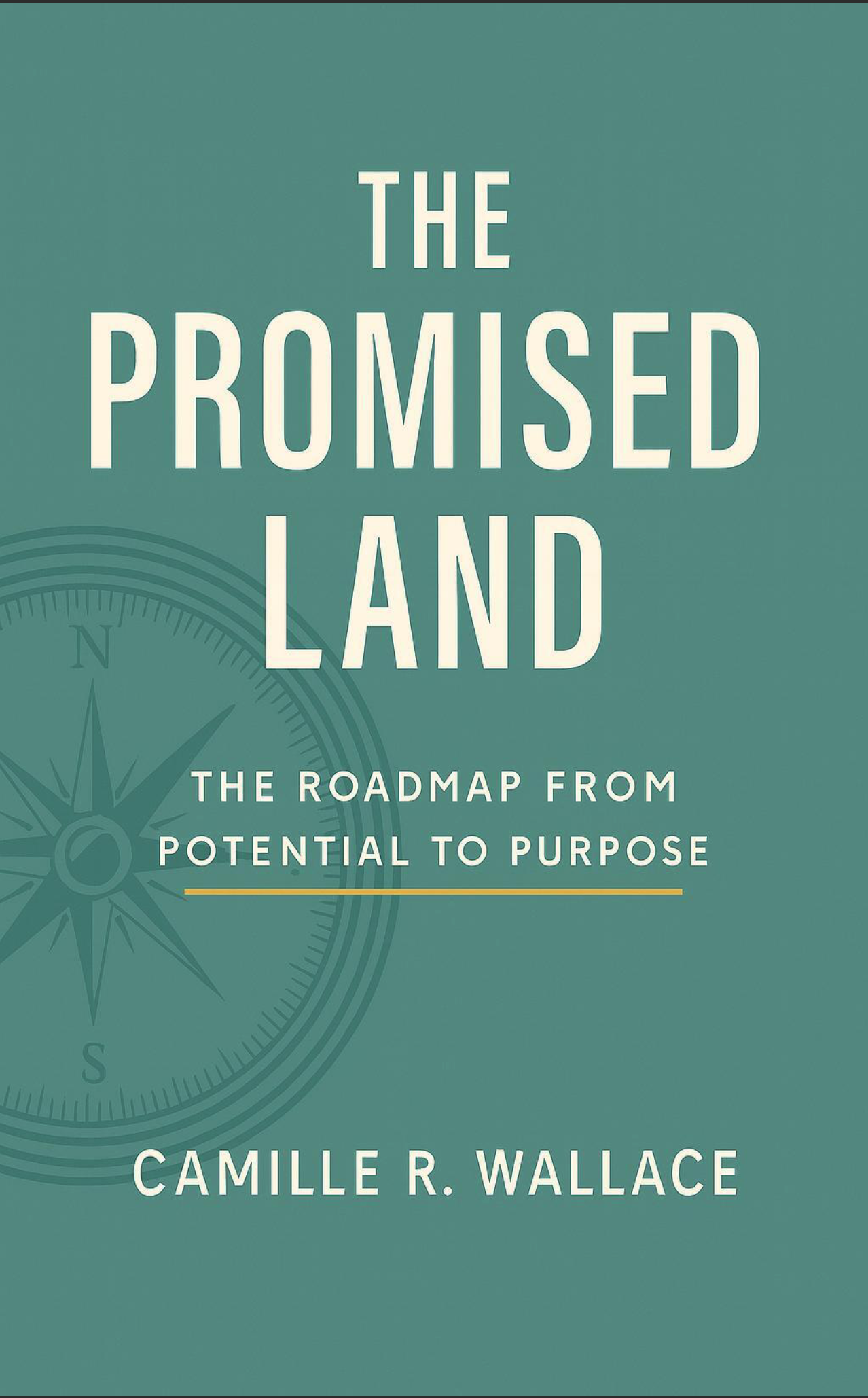 The Promised Land: Moving From Potential to Purpose