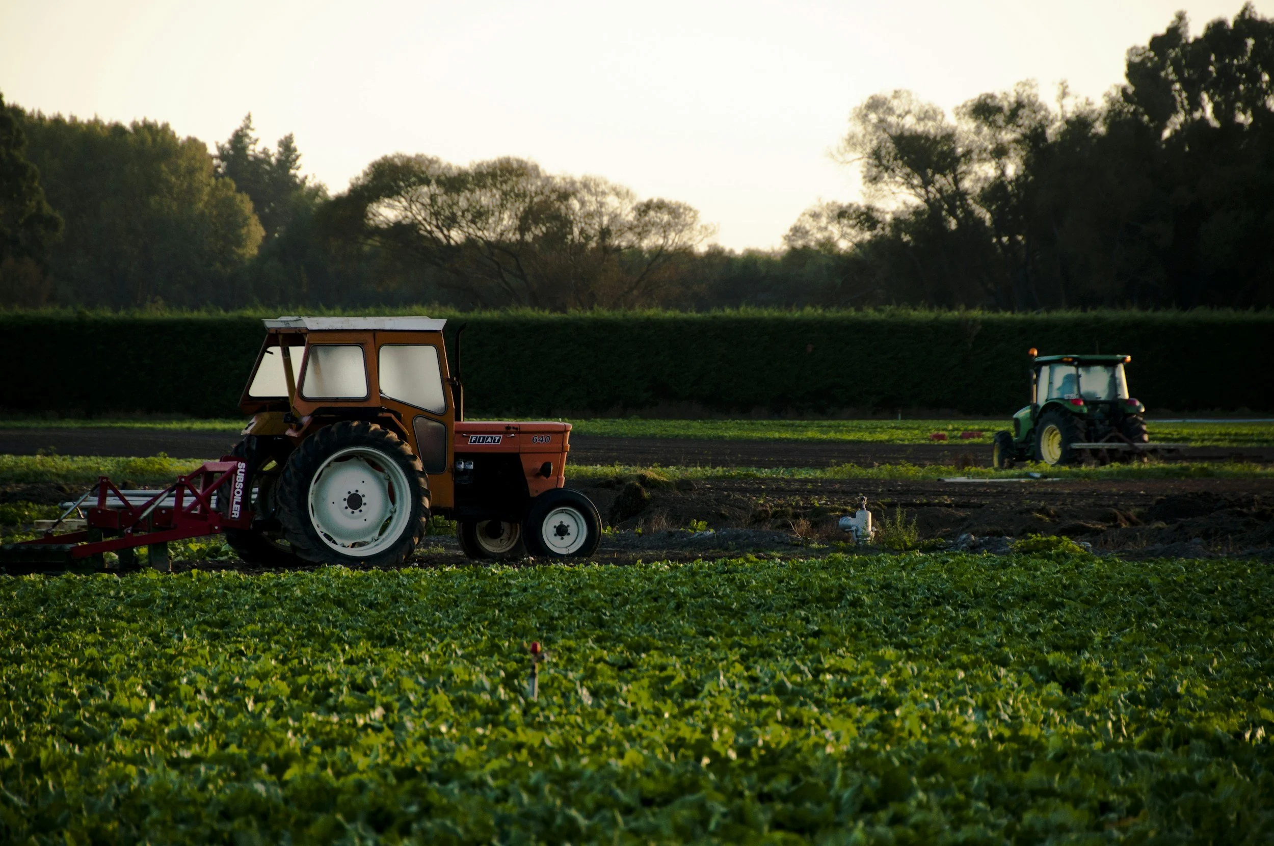 Two tractors working on a farm field at sunset with trees in the background.